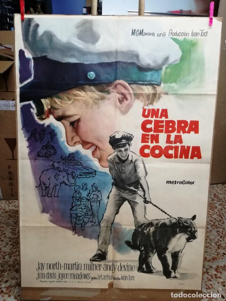Kino: UNA CEBRA EN LA COCINA JAY NORTH MARTIN MILNER ANDY DEVINE POSTER ORIGINAL 70X100 ESTRENO