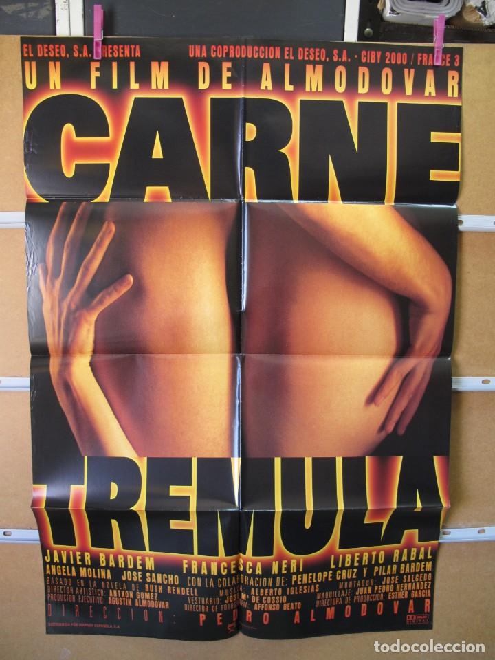 Cine: L484 CARNE TREMULA - Foto 1