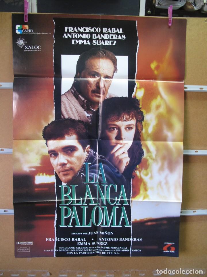 Cin&eacute;ma: L537 LA BLANCA PALOMA