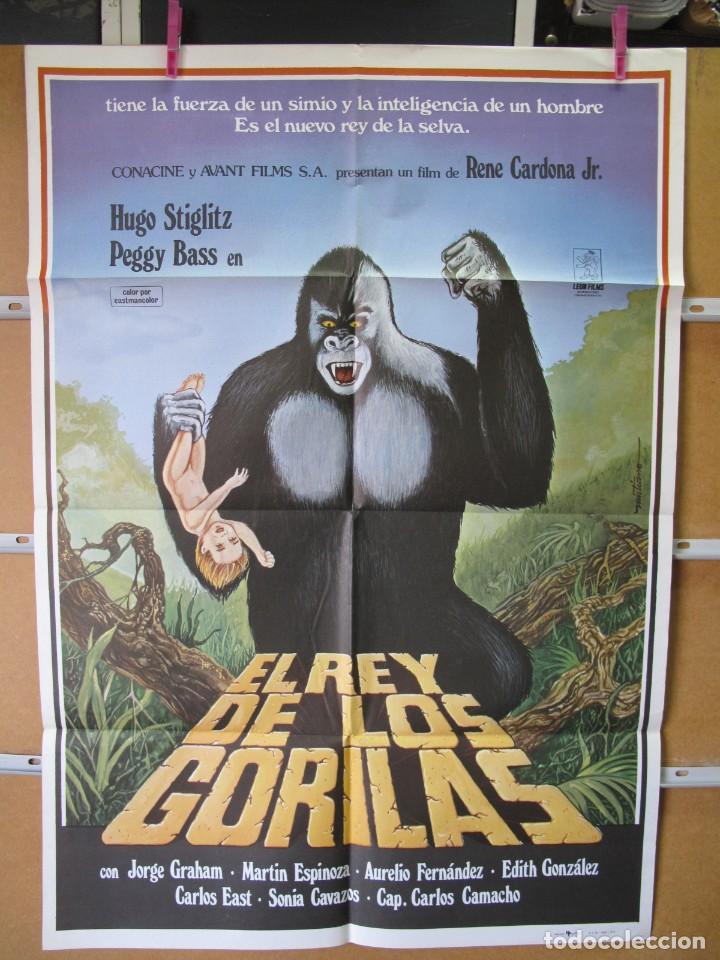 Cine: L801 EL REY DE LOS GORILAS - Foto 1