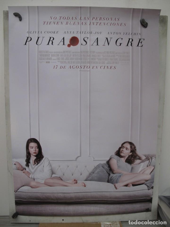 Cine: PURA SANGRE - Foto 1