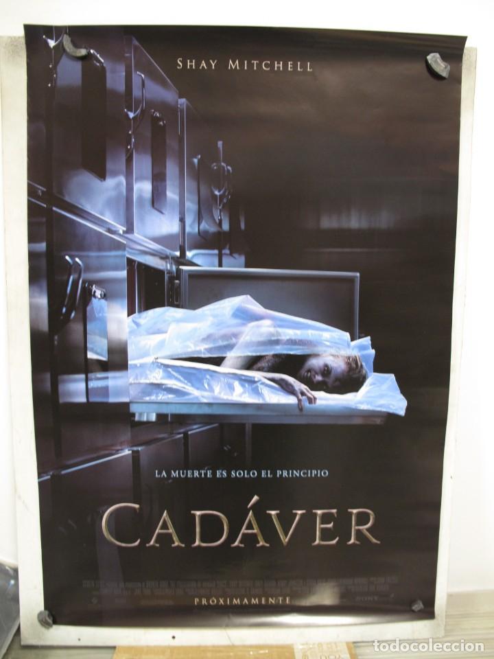 Cine: CADAVER - Foto 1
