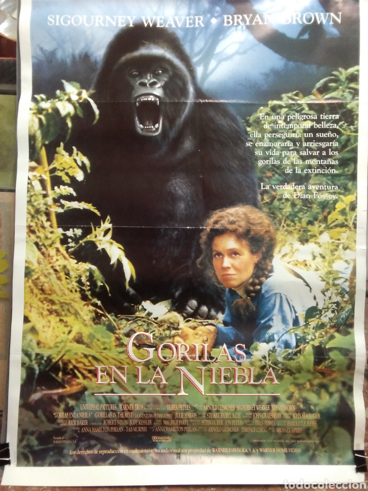 Cine: Cartel GORILAS EN LA NIEBLA - Foto 1