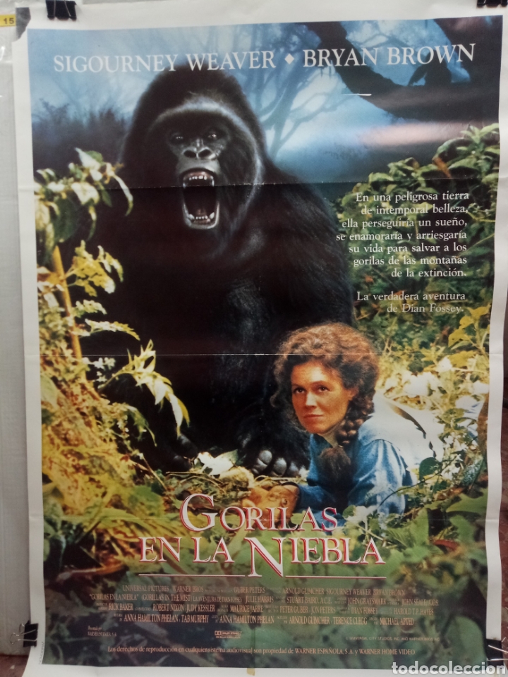 Cine: CARTEL GORILAS EN LA NIEBLA. - Foto 1