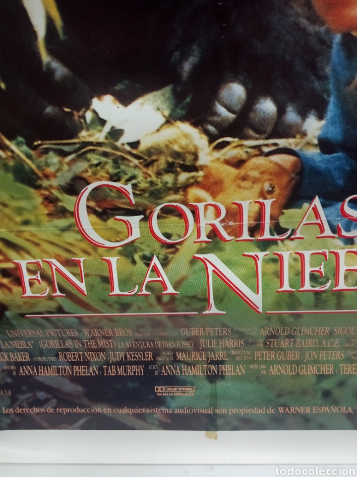 Cine: CARTEL GORILAS EN LA NIEBLA. - Foto 2