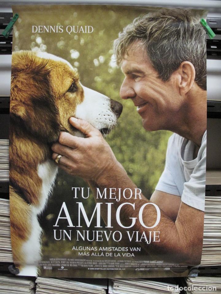 Cinema: TU MEJOR AMIGO UN NUEVO VIAJE