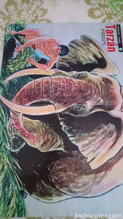 Cine: Tarzan - Foto 1