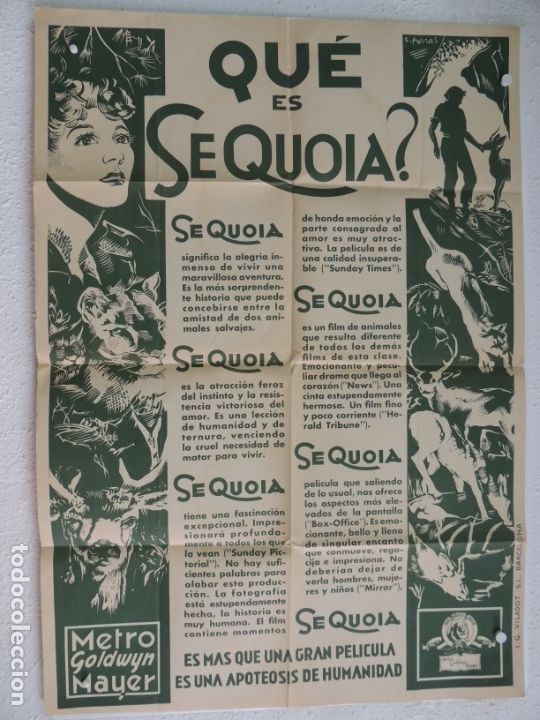 Cin&eacute;ma: sequoia cartel original antiguo muy raro metro goldwyn mayer graficas viladot barcelona
