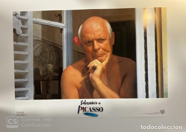 Cinema: AFICHE DE CINE. PELICULA: SOBREVIVIR A PICASSO. ANTHONY HOPKINS. MEDIDAS APROX.: 34 X 24 CM.