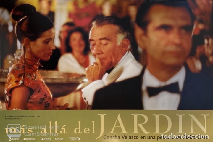 Cinema: AFICHE DE CINE. PELICULA: M&Aacute;S ALL&Aacute; DEL JARDIN. MEDIDAS APROX.: 34 X 24 CM