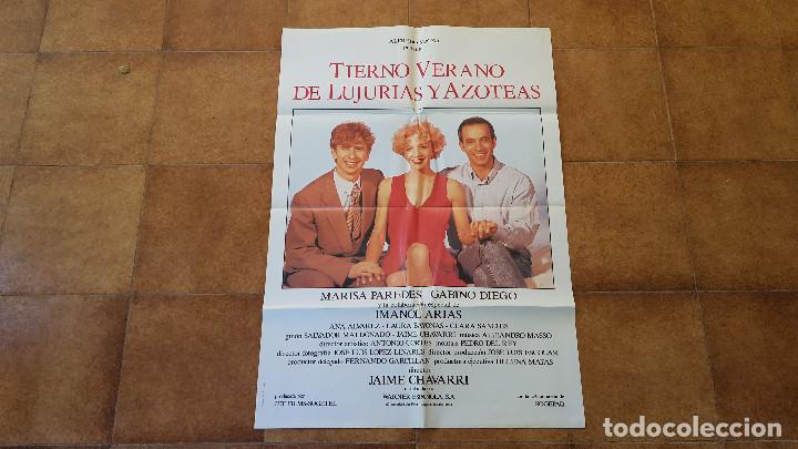 Kino: POSTER CARTEL TIERNO VERANO DE LUJURIAS Y AZOTEAS (1993)