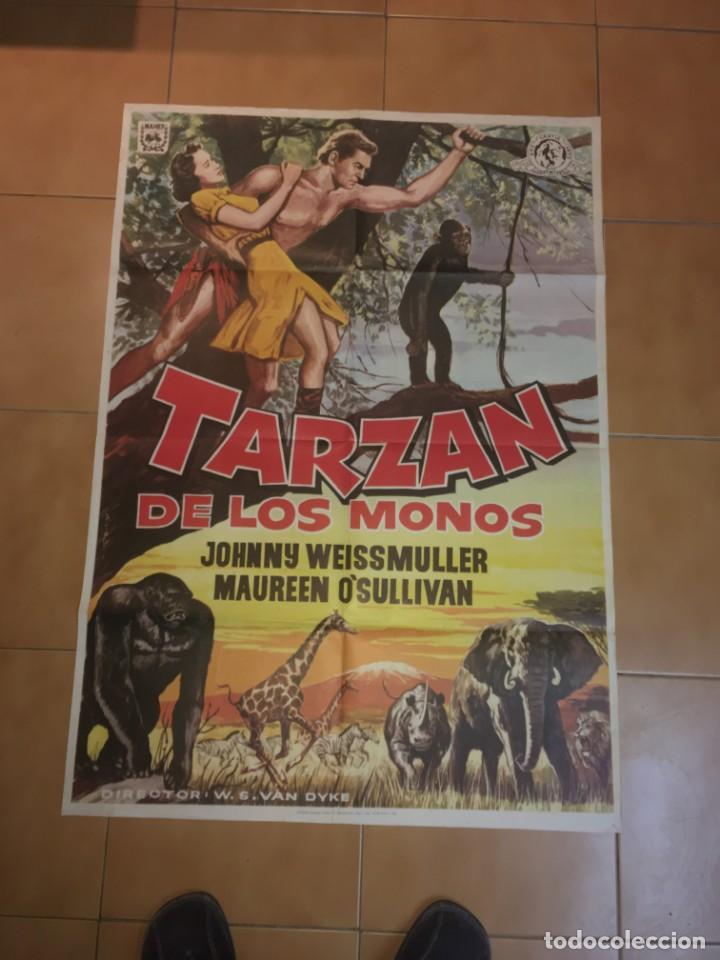 Cine: TARZ&Aacute;N DE LOS MONOS - Foto 1