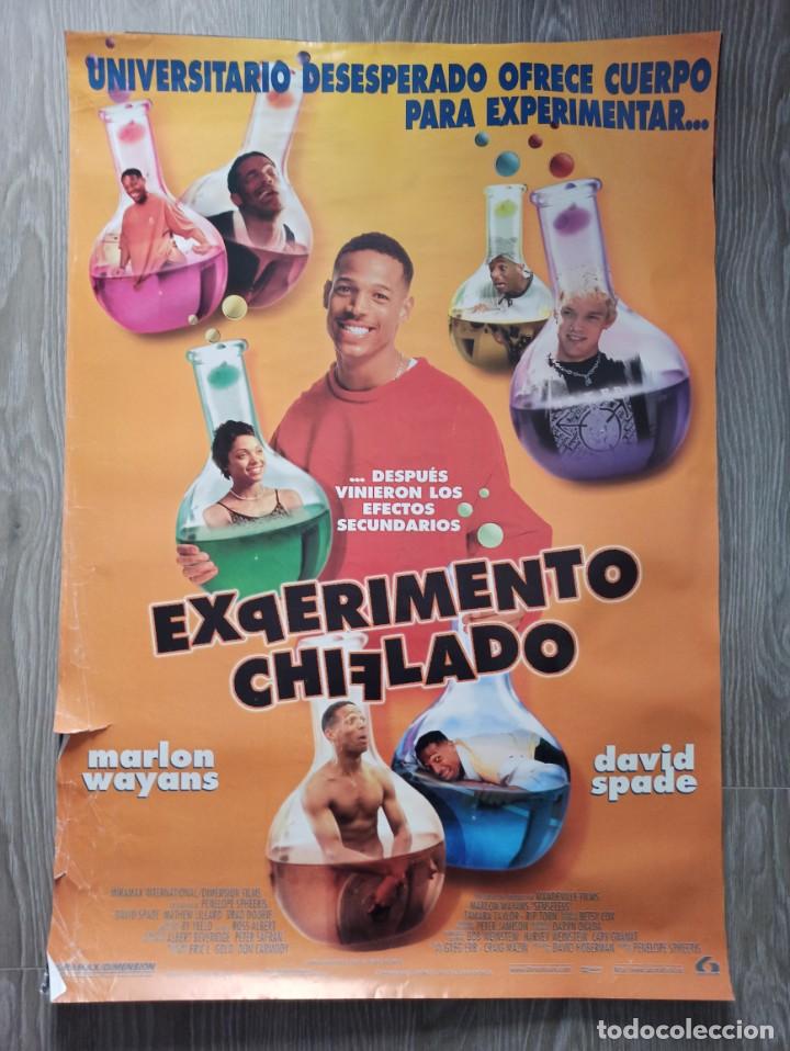 Cin&eacute;ma: P&oacute;ster Experimento chiflado
