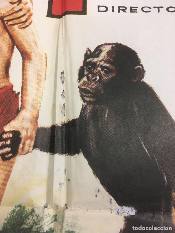 Cine: El tesoro de tarzan - Foto 2