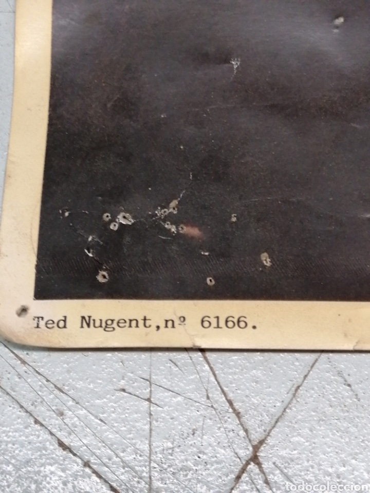 Cine: Cartel Ted Nugent - Foto 5