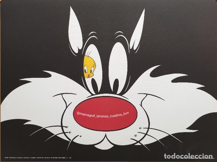 Cine: WARNER BROS. PIOLIN EN OJO IZQUIERDO. MAMAGRAF