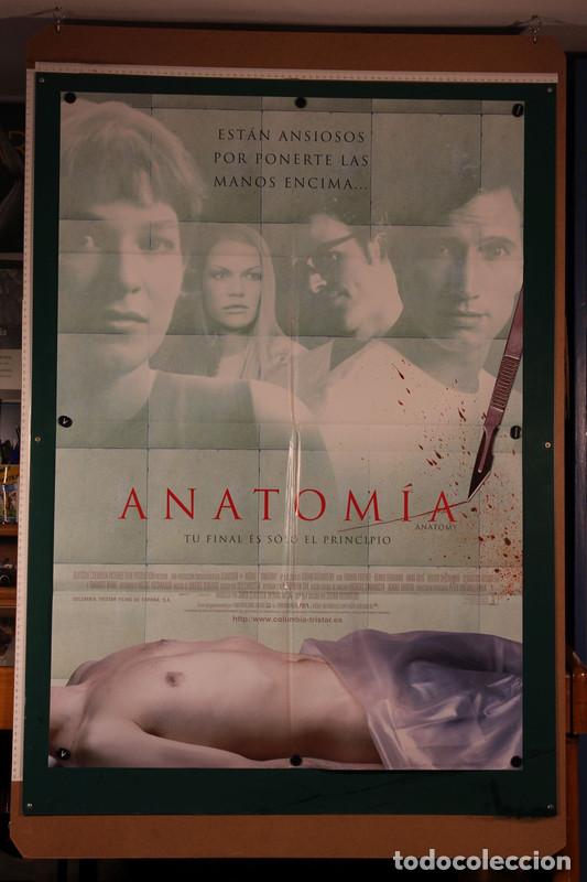 Cine: Anatom&iacute;a Stefan Ruzowitzky 1999 - Foto 1