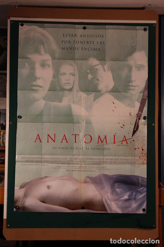 Cine: Anatom&iacute;a Stefan Ruzowitzky 1999 - Foto 1