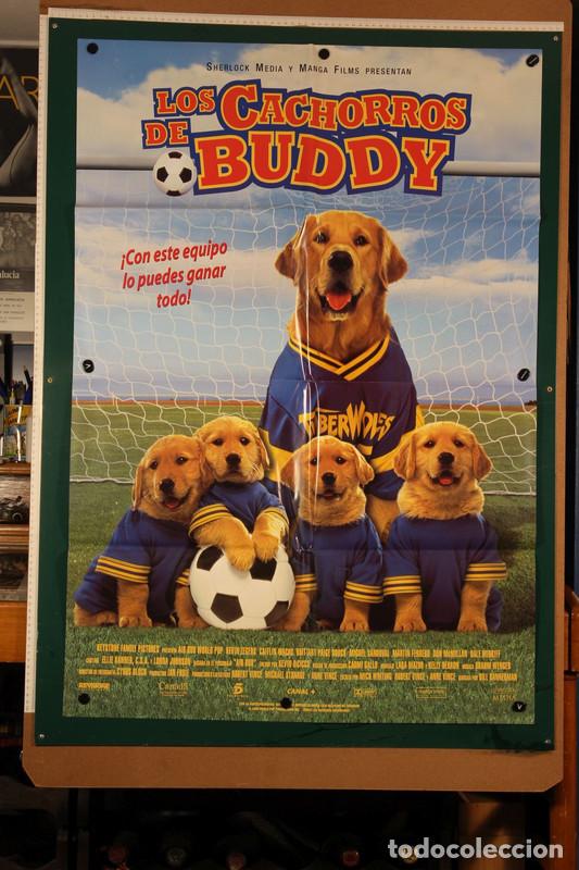 Cine: Cachorros De Buddy, Los Bill Bannerman 2000 - Foto 1