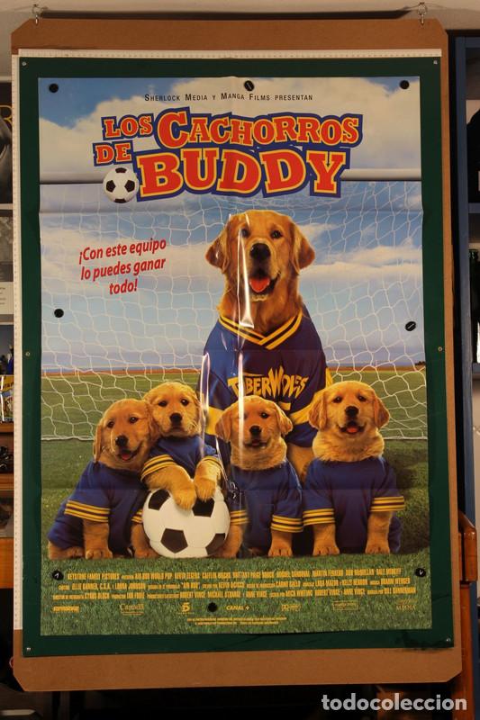 Cine: Cachorros De Buddy, Los Bill Bannerman 2000 - Foto 1