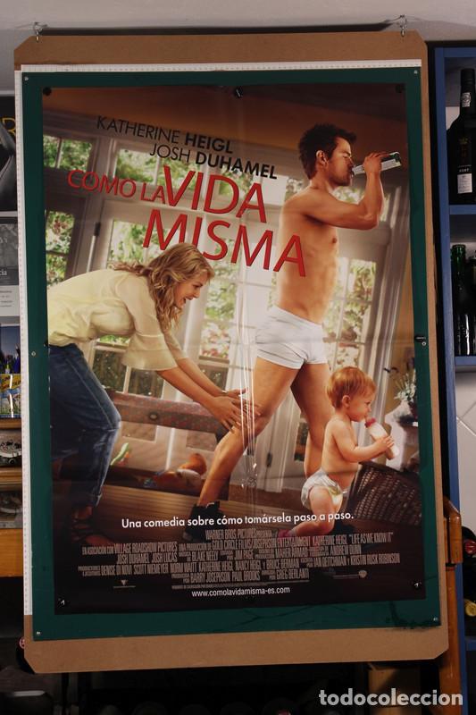 Cine: Como La Vida Misma Peter Hedges 2008 - Foto 1
