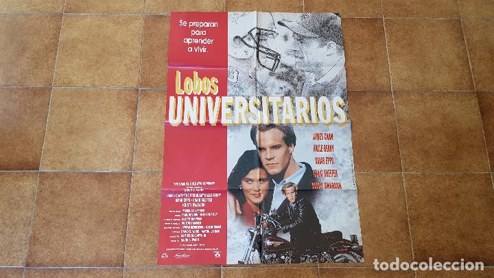 Cinema: POSTER CARTEL LOBOS UNIVERSITARIOS (100 X 70 CMS. APROX.)