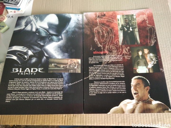 Cine: Cartel de cine BLADE Trinity - Foto 2