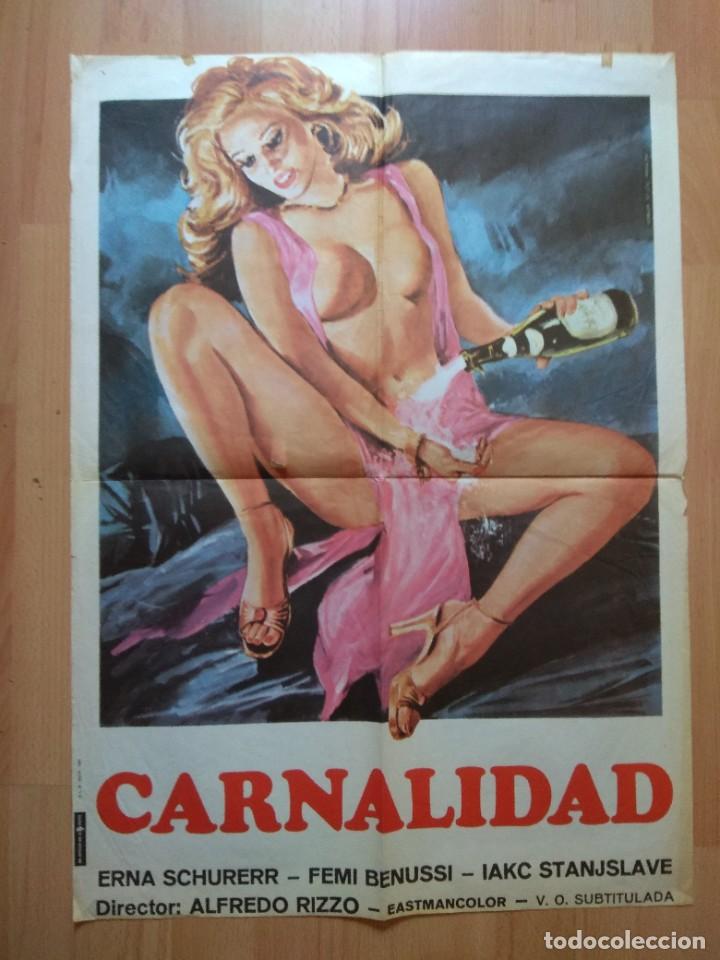 Cine: 4-POS-- POSTER DE LA PELICULA-- CARNALIDAD - Foto 1