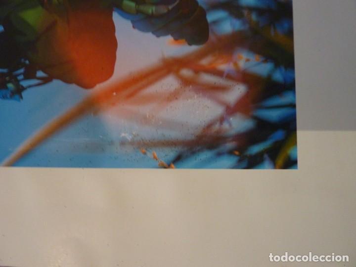 Cine: L&Aacute;MINA BICHOS - Foto 2