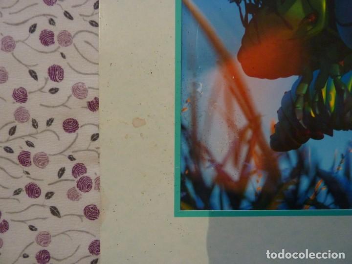 Cine: L&Aacute;MINA BICHOS - Foto 5