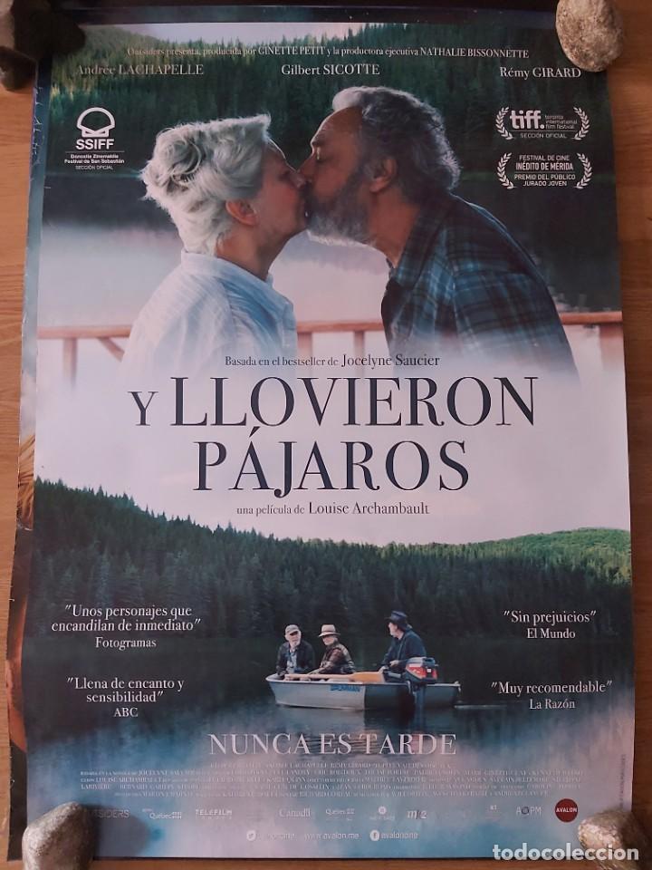 Cinema: Y llovieron pajaros - aprox 70x100 Cartel ORIGINAL cine (L81)