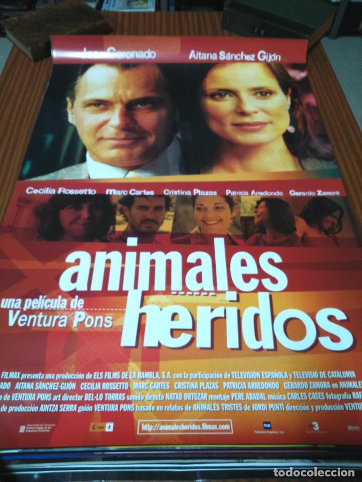 Kino: POSTER DE CINE -- ANIMALES HERIDOS -- POSTER GRANDE --