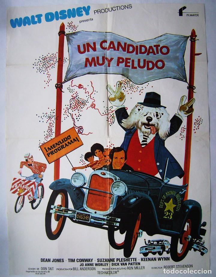 Cinema: UN CANDIDATO MUY PELUDO, con Suzanne Pleshette. P&Oacute;STER 69 X 92 cms..
