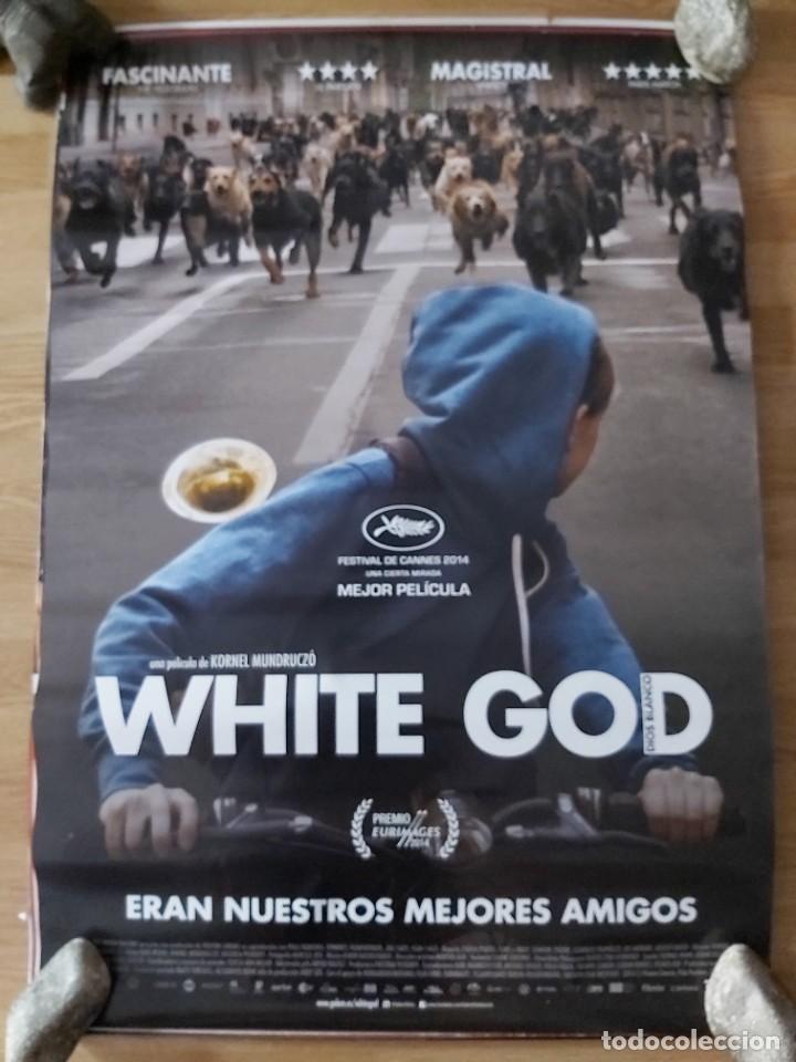 Cinema: White God - APROX 70X100 CARTEL ORIGINAL CINE (L85)