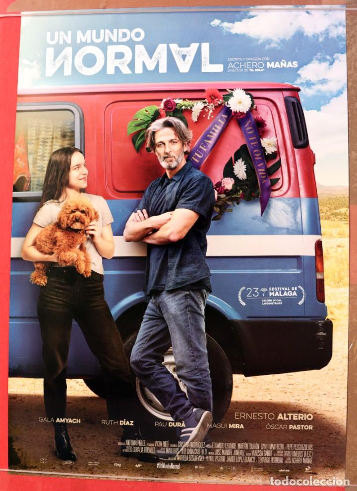 Cinema: P&oacute;ster de la pel&iacute;cula: Un mundo normal