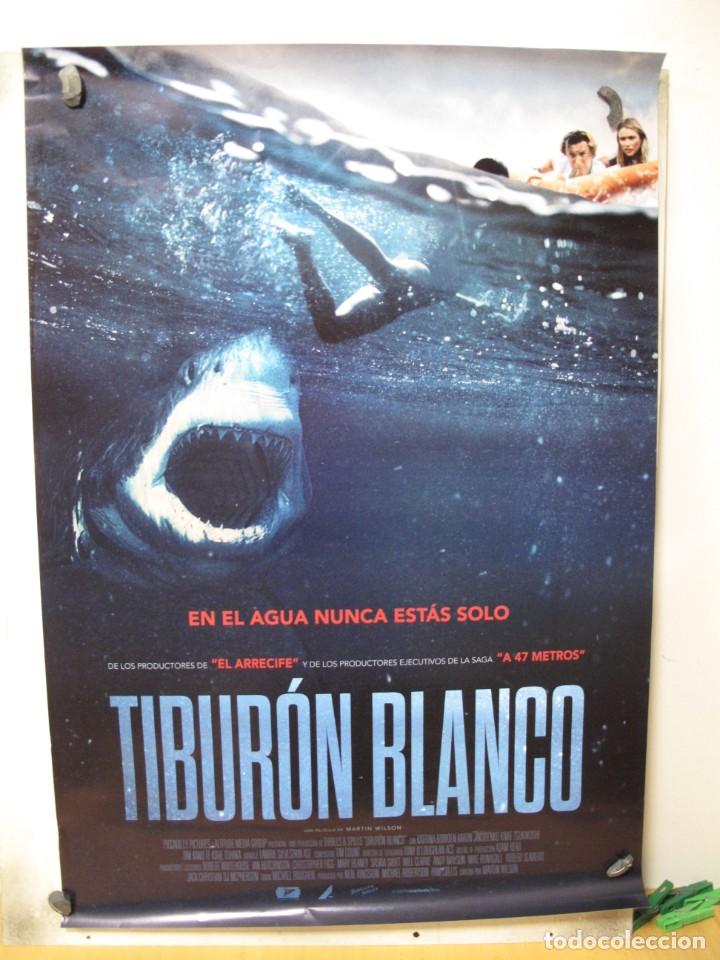 Cine: TIBURON BLANCO - Foto 1