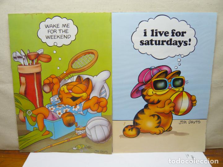 Cine: 50 cm - 2 bellas laminas originales Jim Davis - Gato Garfield Cat - Edit. Argus Communications 70 's