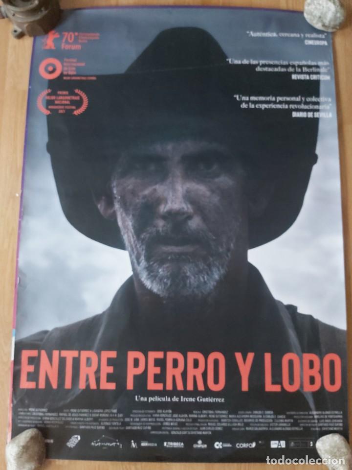 Kino: Entre perro y lobo - APROX 70X100 CARTEL ORIGINAL CINE (L91)