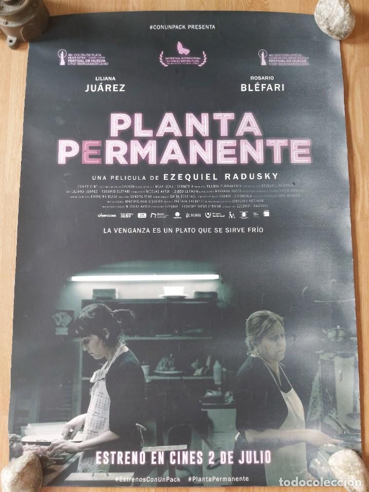 Kino: Planta permanente - APROX 70X100 CARTEL ORIGINAL CINE (L92)