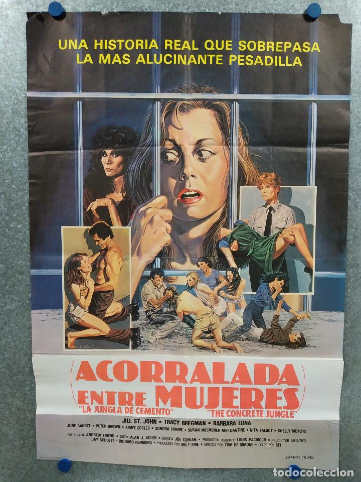Kino: ACORRALADA ENTRE MUJERES (LA JUNGLA DE CEMENTO). Tracey E. Bregman, Barbara Luna A&Ntilde;O 1983. POSTER