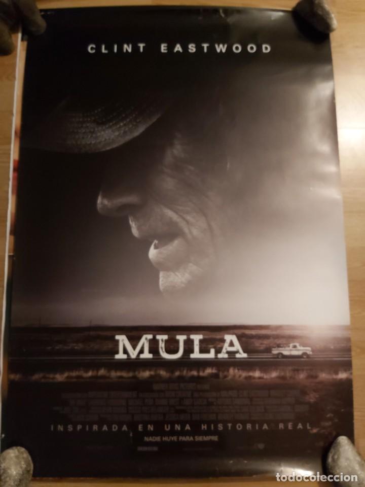 Kino: Mula - aprox 70x100 Cartel ORIGINAL Cine (L93)