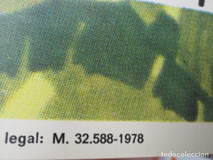 Cine: CARTEL ORIGINAL -EL LIBRO DE LA SELVA - WALT DISNEY - 1978 - MEDIDAS 100 X 70 - Foto 3 - 302548448