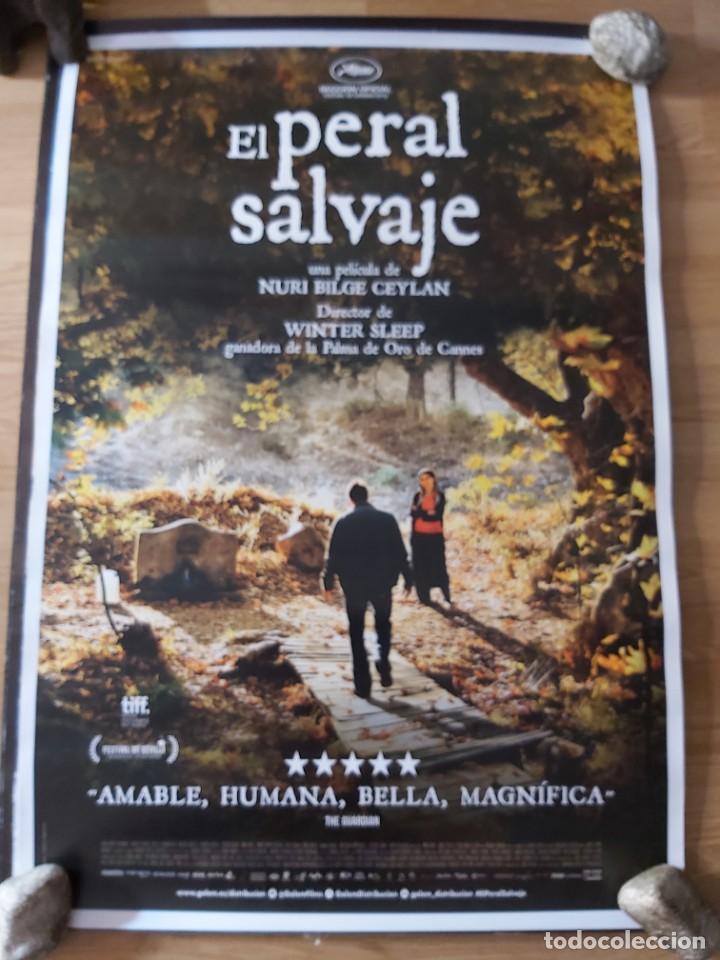 Cinema: El peral salvaje - aprox 70x100 Cartel ORIGINAL Cine (L98)