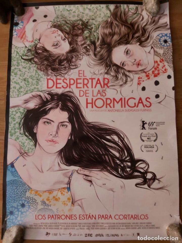 Cine: El despertar de las hormigas - aprox 70x100 Cartel ORIGINAL Cine (L100)