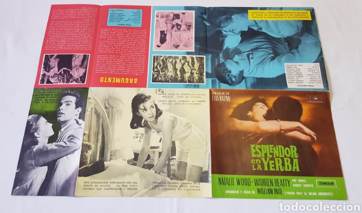 Kino: Gu&iacute;a desplegable en p&oacute;ster &rdquo;ESPLENDOR EN LA HIERBA&rdquo; Natalie Wood-Warren Beatty-Elia Kazan 1962.