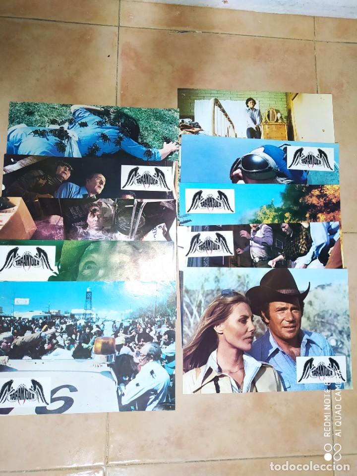 Cine: fotocromos tar&aacute;ntula John Bud