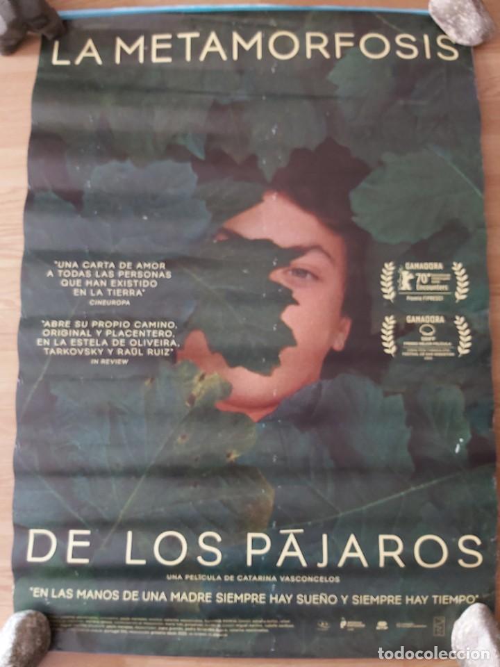 Cinema: La metamorfosis de los pajaros - aprox 70x100 Cartel ORIGINAL Cine (L101)
