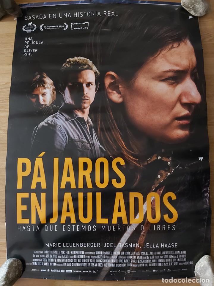 Cinema: Pajaros enjaulados - aprox 70x100 Cartel ORIGINAL Cine (L101)