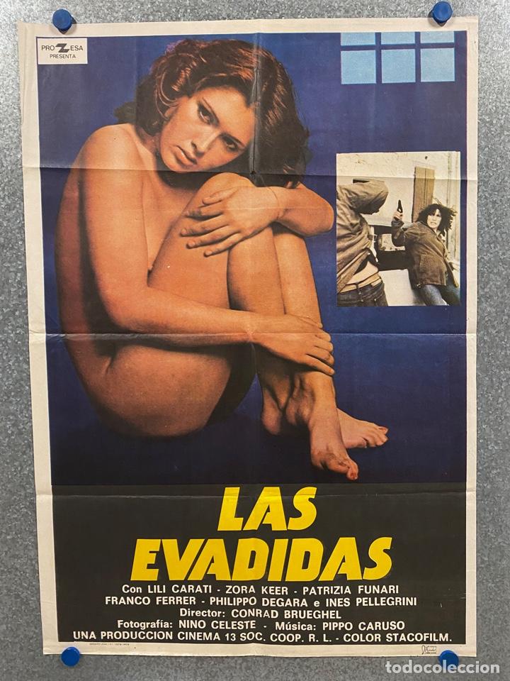 Cinema: Las evadidas. Lilli Carati, Ines Pellegrini, Marina Daunia, Zora Kerova. A&Ntilde;O 1979. POSTER ORIGINAL
