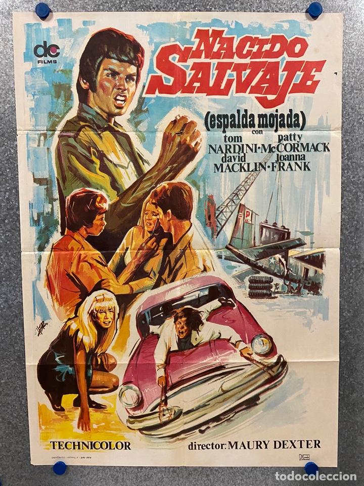 Kino: Nacido salvaje. Tom Nardini, Patty McCormack, Joanna Frank, David Macklin.A&Ntilde;O 1970. POSTER ORIGINAL.